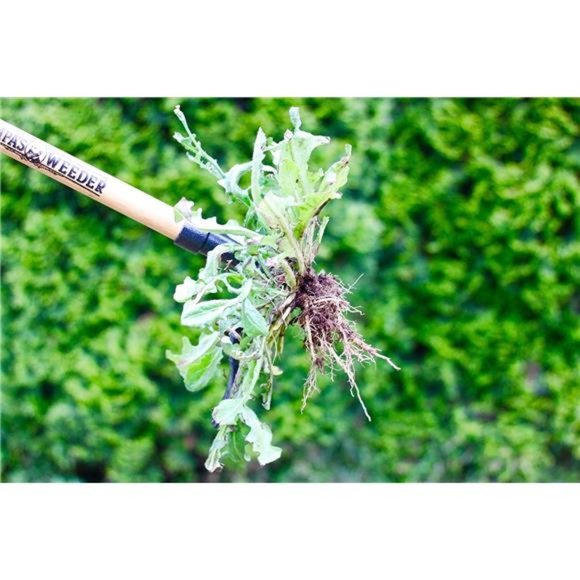 Stand Up Weed Puller Tool with Long Handle - Made with Real Bamboo - Picture 2 of 6